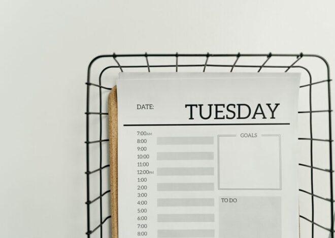 Simple Cleaning Schedule for the Whole Week to Keep Your Home Tidy